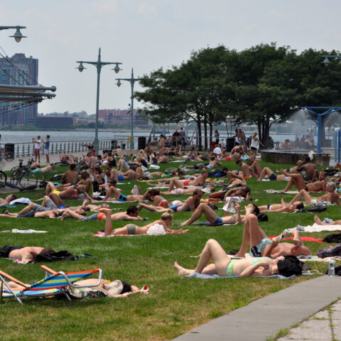Sunny day expected for new york city with possible late afternoon showers - photo licensed by shore news network.