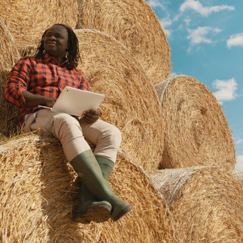 New jersey farmers who faced discrimination eligible for relief - photo licensed by shore news network.