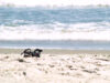 The feds run this clothing optional beach at the jersey shore