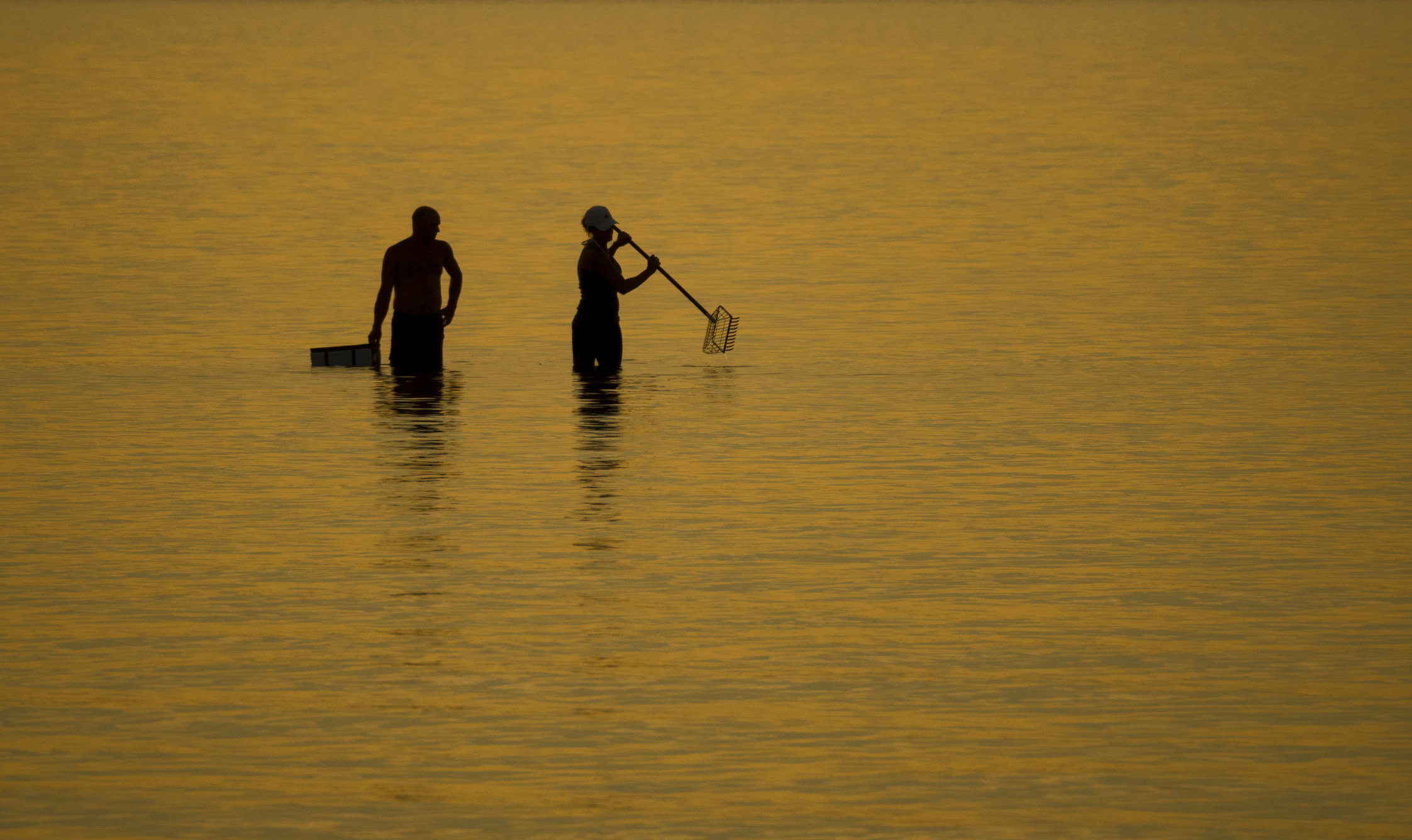 Did you know? Clamming in New Jersey is illegal on Sundays