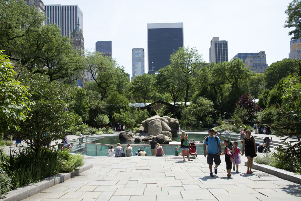 Dry, hot, but comfortable day expected for New York City