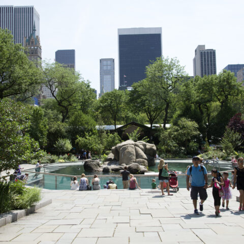 Dry, hot, but comfortable day expected for new york city - photo licensed by shore news network.