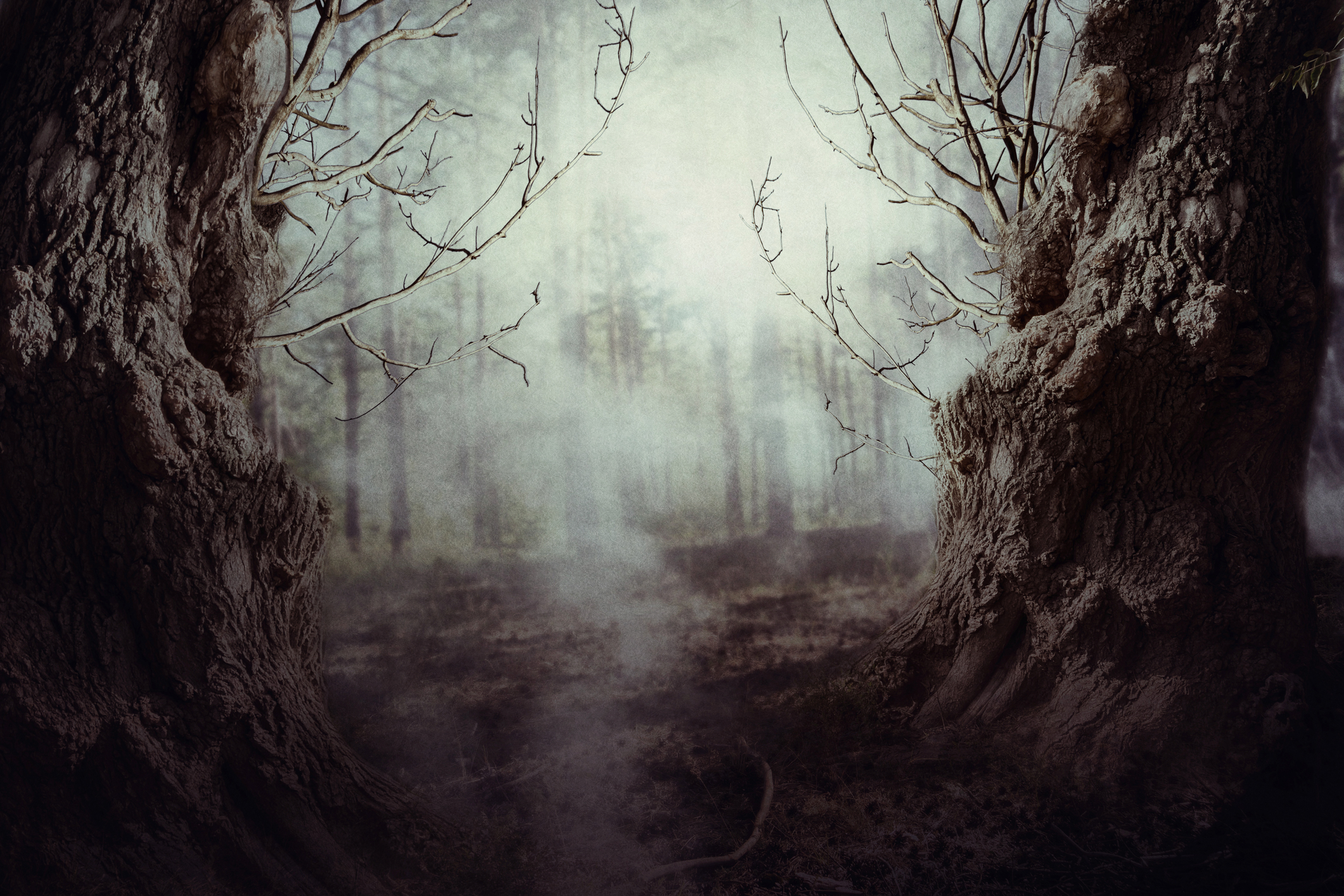 New Jerseyans Have Historically Believed a Demon Lives in the Woods