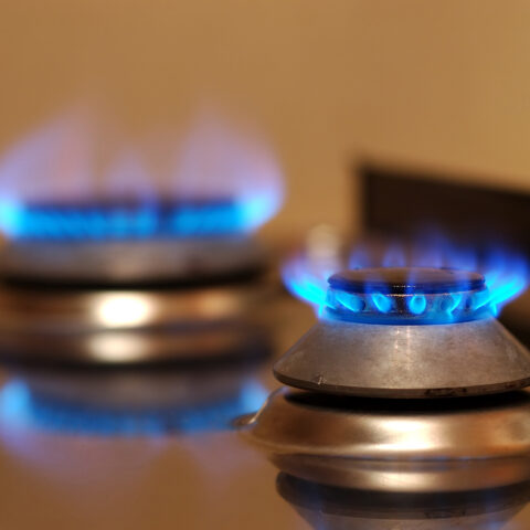 Survey says most in new jersey oppose governor's radical green energy agenda - photo licensed by shore news network.