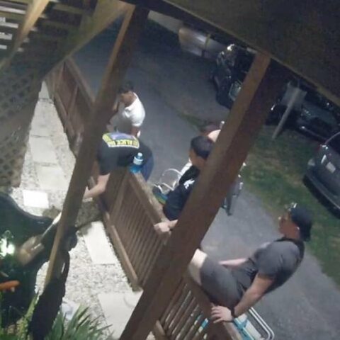 Reward offered to find koi killers in ocean city - photo licensed by shore news network.