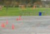 Teen arrested for shooting at large party at local soccer field