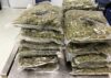 Philadelphia cbp intercepts 21-pound marijuana load in uk-bound passenger’s baggage