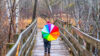 Chance of afternoon thunderstorms, clear and sunny tomorrow across new jersey