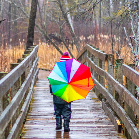 Chance of afternoon thunderstorms, clear and sunny tomorrow across new jersey - photo licensed by shore news network.
