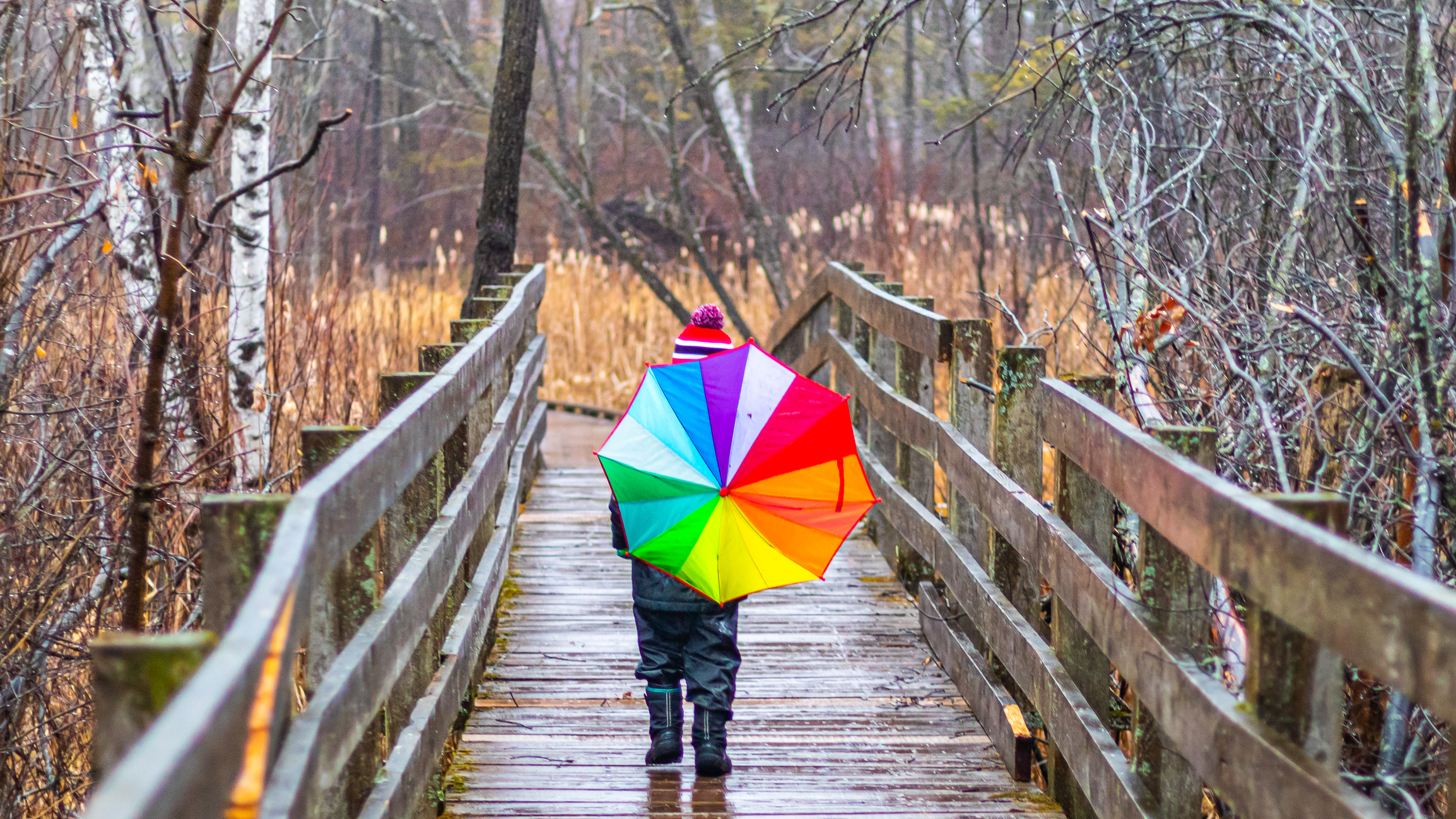 Chance of Afternoon Thunderstorms, Clear and Sunny Tomorrow Across New Jersey