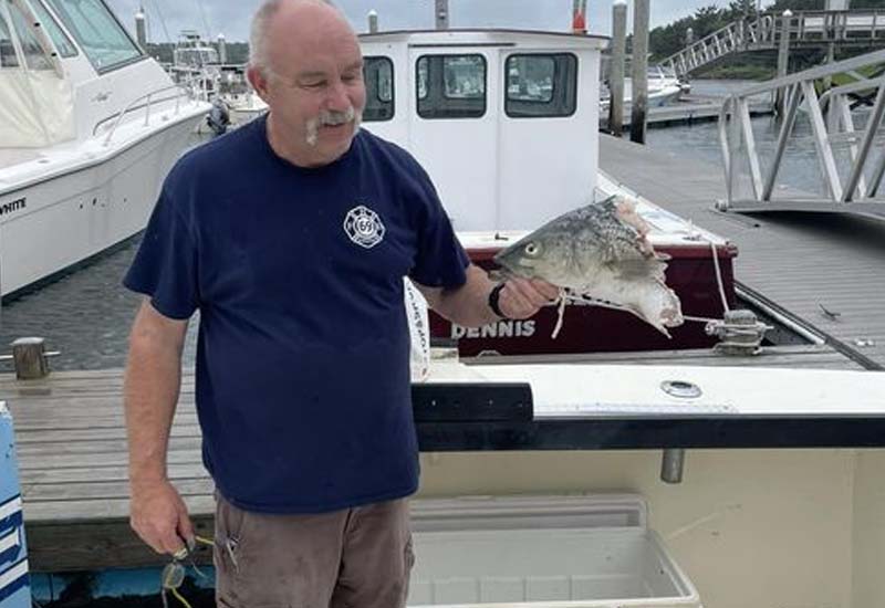 Shark Attacks Fisherman's Bass as He Reeled it in