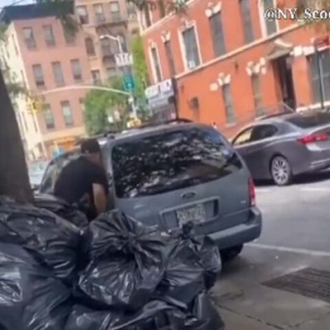 Shoplifter plays hide and seek with nypd - photo licensed by shore news network.