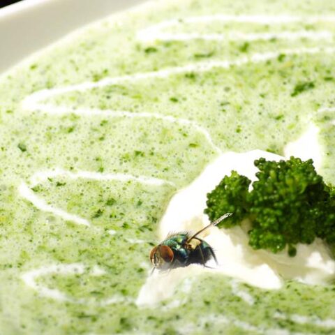 Trader joe's soup sold in new jersey could contain bugs, company says - photo licensed by shore news network.