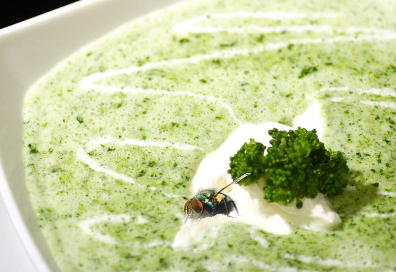 Trader Joe's Soup Sold in New Jersey Could Contain Bugs, Company Says