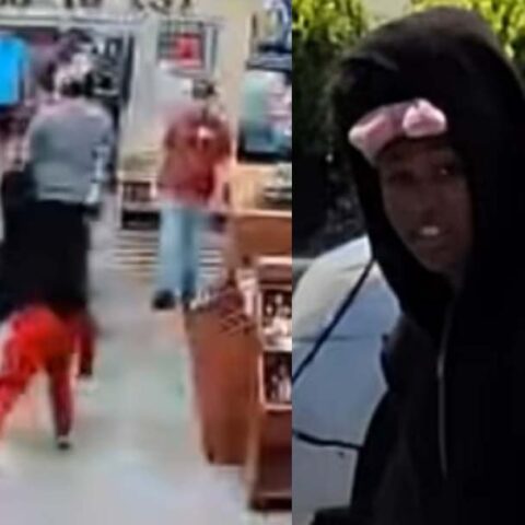 Watch: shoplifter attacked grocery store worker with bottles of wine - photo licensed by shore news network.