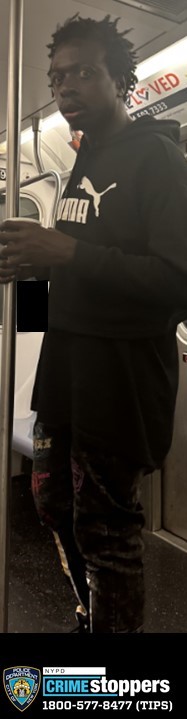 Police Seeking Man Who Exposed Himself to Subway Rider Police Seeking Man Who Exposed Himself to Subway Rider