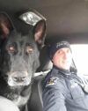 Retired wall k9 daza passes
