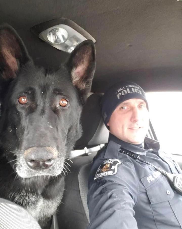 Retired Wall K9 Daza Passes