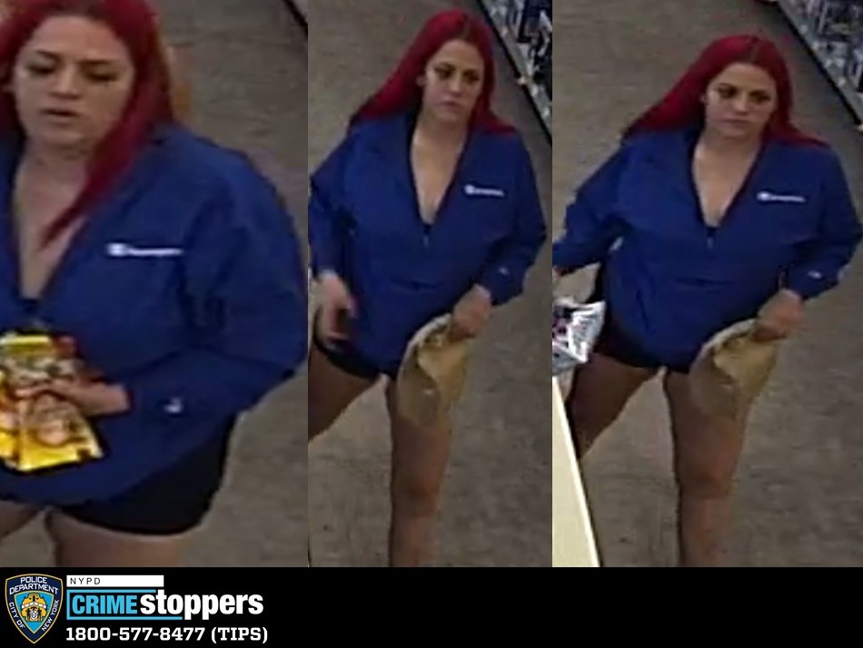 Woman Sought for Credit Card Theft, Fraud Woman Sought for Credit Card Theft, Fraud