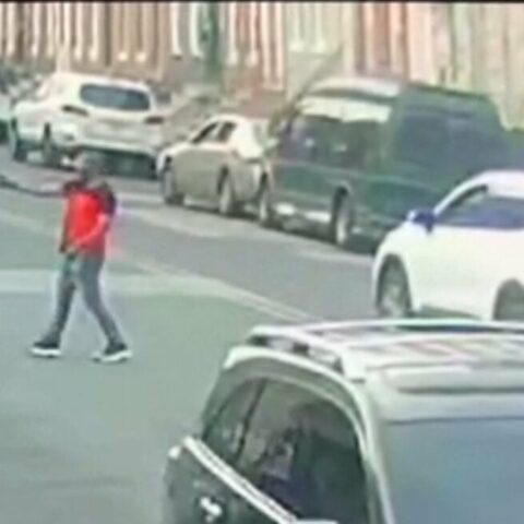 Dog shot and killed during daily walk with owner - photo licensed by shore news network.