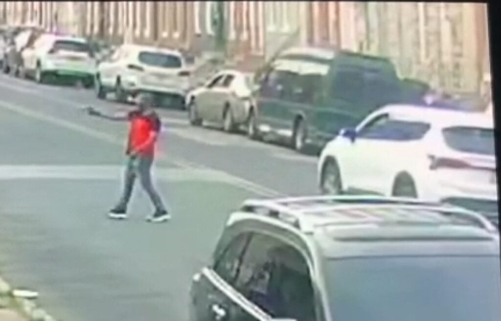 Dog Shot and Killed During Daily Walk with Owner