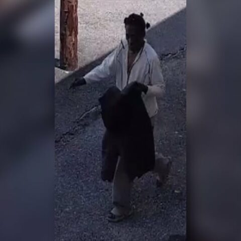 Police investigating vandalism at philadelphia buddhist temple - photo licensed by shore news network.