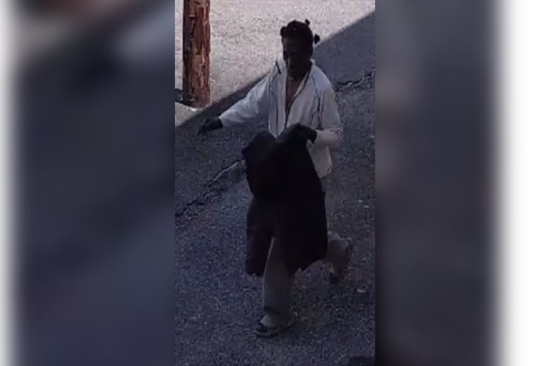 Police Investigating Vandalism at Philadelphia Buddhist Temple