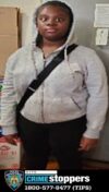 14-year-old girl reported missing in the bronx