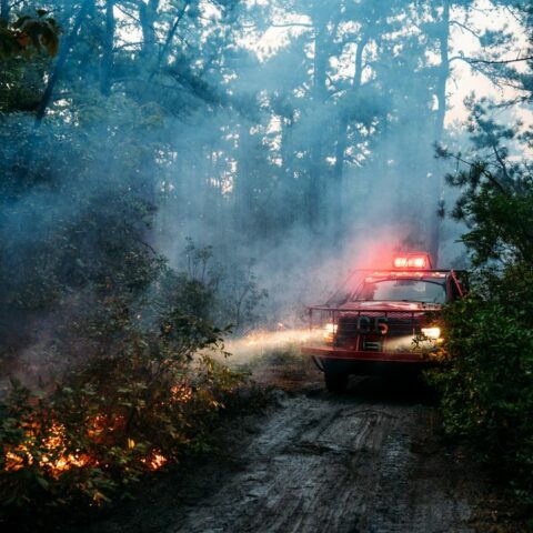 What's that smell? Wharton forest fire winds shift - photo licensed by shore news network.