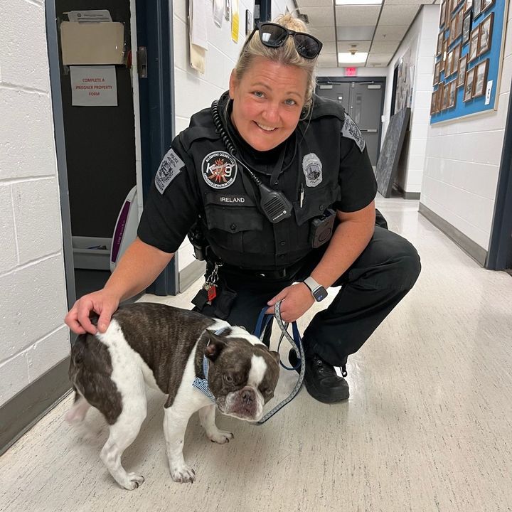 Traveler Abandoned Dog at Airport Because He Didn't Have a Crate