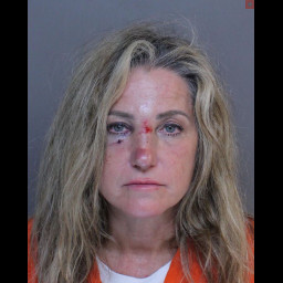 Pocono Township Cop Assaulted by Drunken Female Suspect