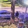 Baltimore police release video of puppy napper