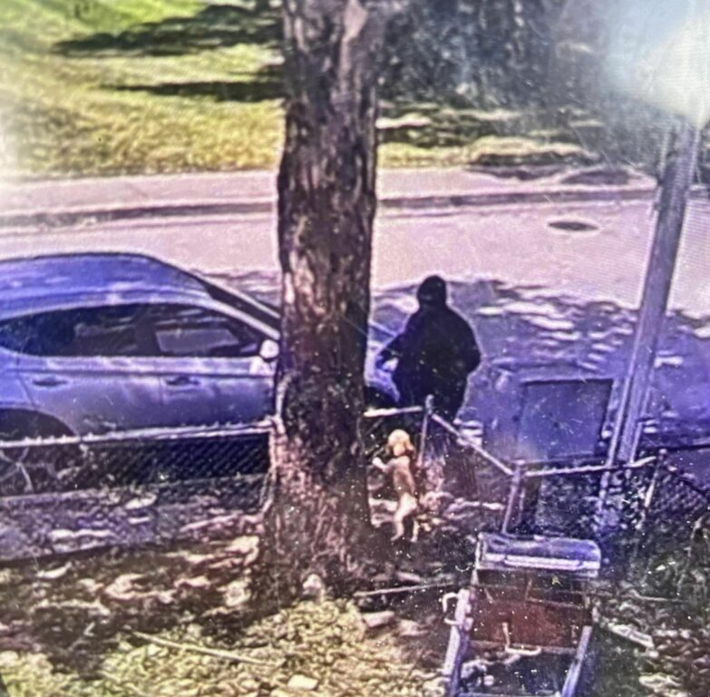 Baltimore Police Release Video Of Puppy Napper