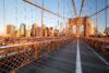 Sunny, warm day today in new york city