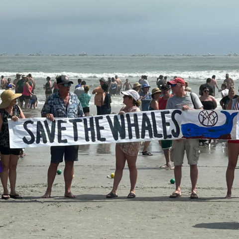 Hundreds protest new jersey's offshore wind farms - photo licensed by shore news network.