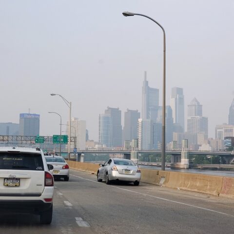 Stray dog snarls traffic on i-95 in philadelphia - photo licensed by shore news network.