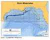 Biden admin’s plans to protect whales in the gulf may jack up emissions, pose safety risks
