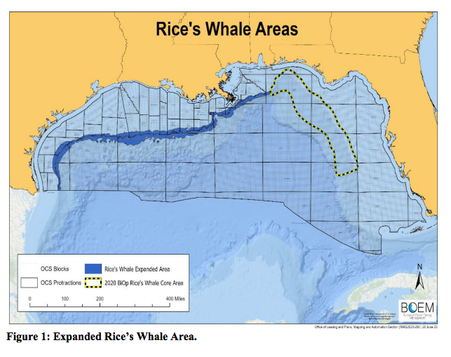 Biden Admin’s Plans To Protect Whales In The Gulf May Jack Up Emissions, Pose Safety Risks Biden Admin’s Plans To Protect Whales In The Gulf May Jack Up Emissions, Pose Safety Risks