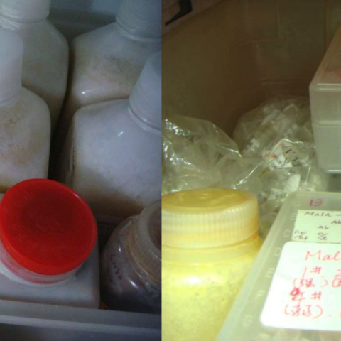 Illegal biolab discovered in california tied to chinese medical firms - photo licensed by shore news network.