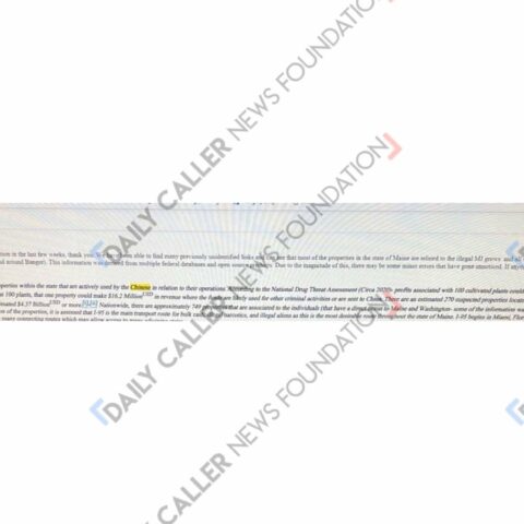 Exclusive: illegal chinese marijuana grow operations are taking over blue state, leaked memo says - photo licensed by shore news network.