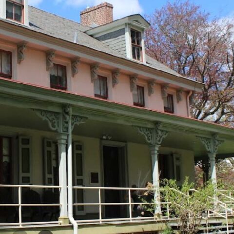 Alice paul institute celebrates inclusivity with women's equality day festival - photo licensed by shore news network.