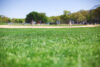 Man drops gun during argument with little league coach
