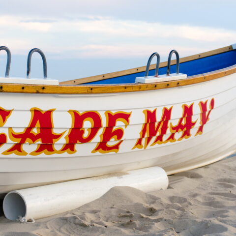 Here is the basic new jersey bucket list for novices - photo licensed by shore news network.