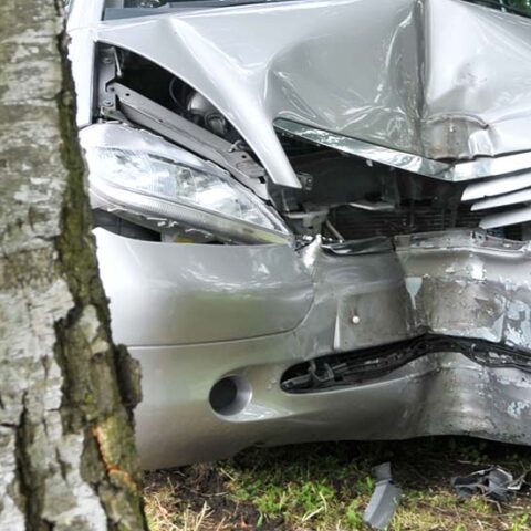 Teen car thief crashes into tree; unsuccessfully tries to flee from police - photo licensed by shore news network.