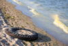 Here's the most popular trash items people are leaving at the jersey shore