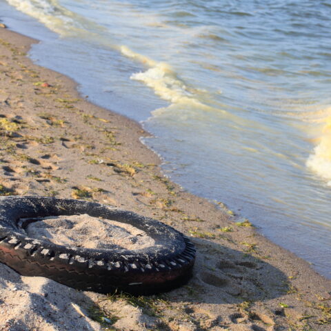 Here's the most popular trash items people are leaving at the jersey shore - photo licensed by shore news network.