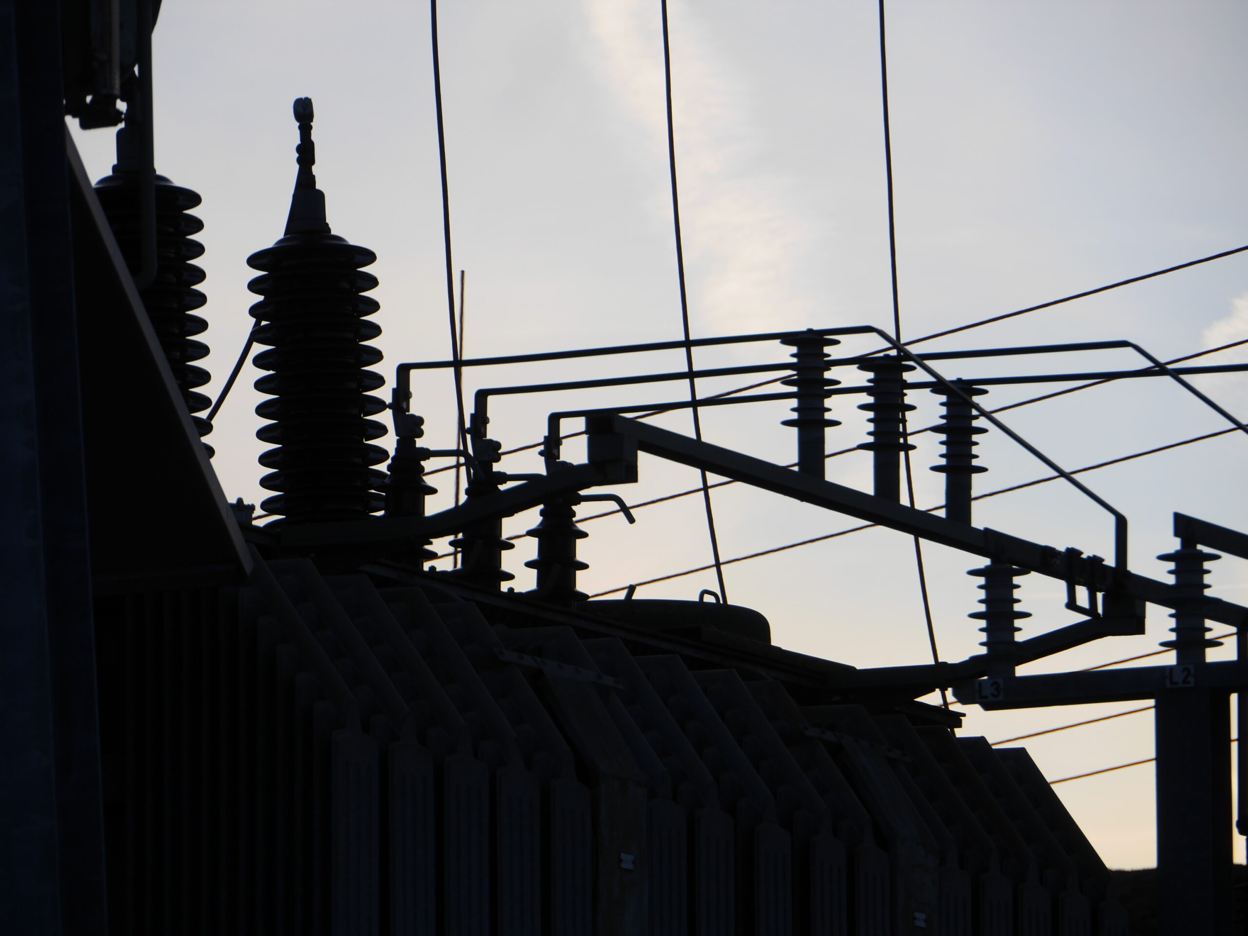 Don't Charge Your EV or Use AC During Heat Wave? County Official Deeply Concerned