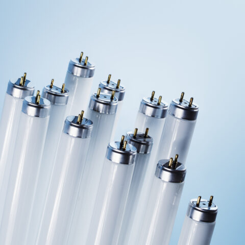 Federal lightbulb ban is the first step; here's what's happening next - photo licensed by shore news network.