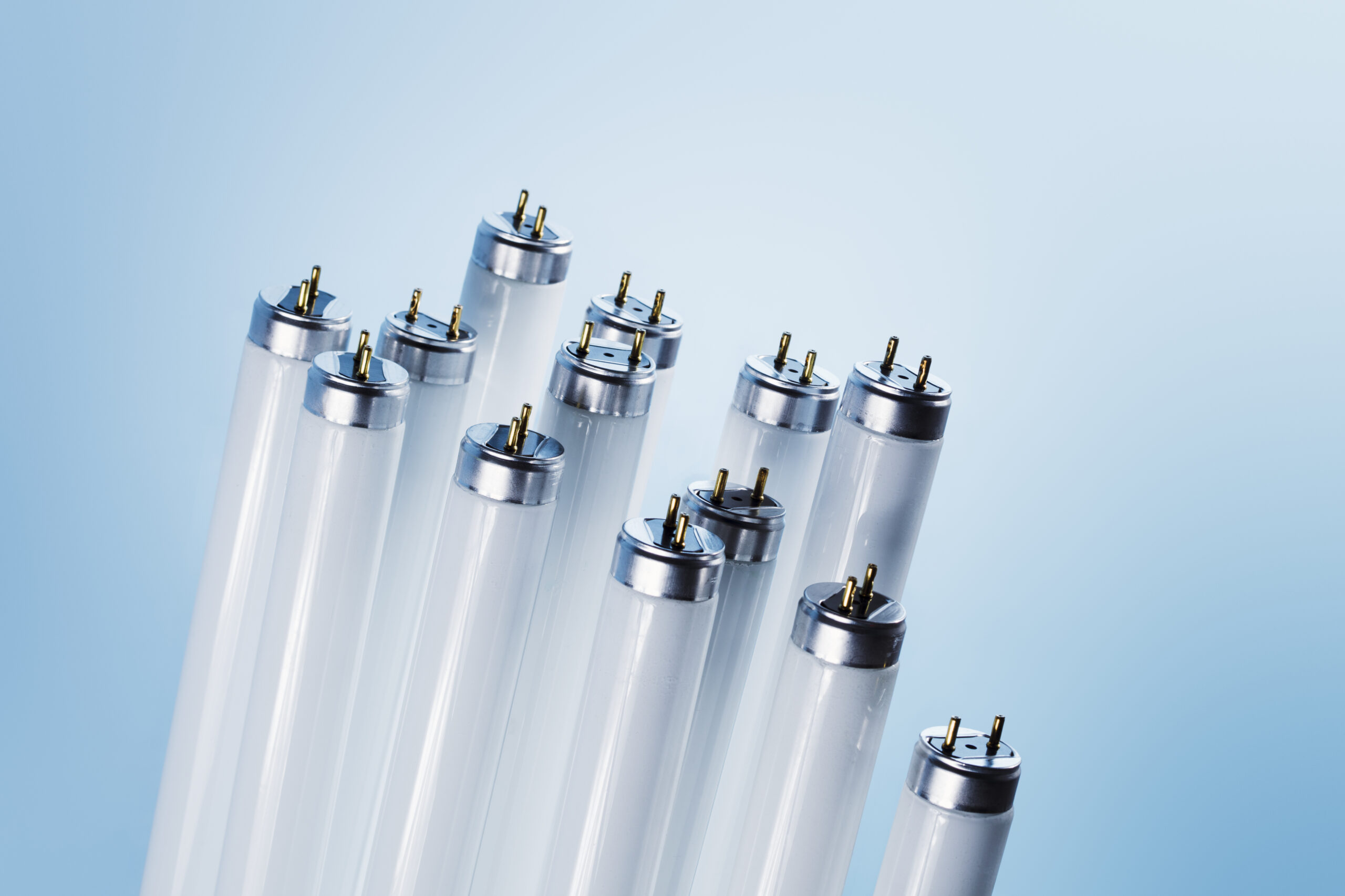 Federal Lightbulb Ban is the First Step; Here's What's Happening Next