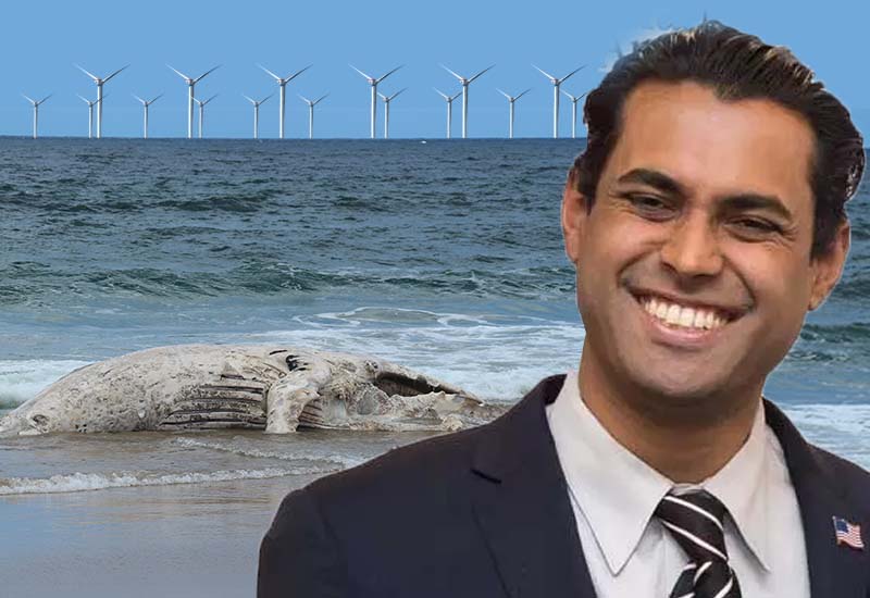 Whales Are Being Sacrificed for Vin Gopal's Radical Agenda; Ad Claims